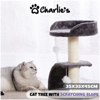 Charlie's Pet Cat Tree with Scratching Slope - Charcoal - 35x35x45cm