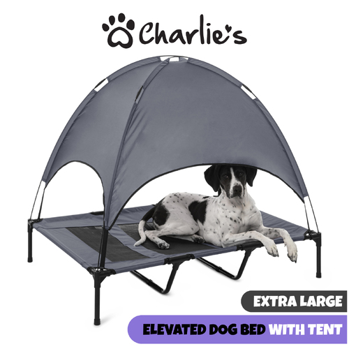 Charlies Elevated Pet Bed With Tent Light Grey Extra Large
