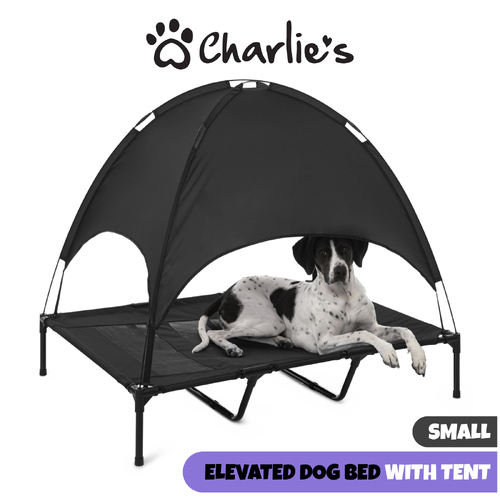 Charlies Elevated Pet Bed With Tent Black Small
