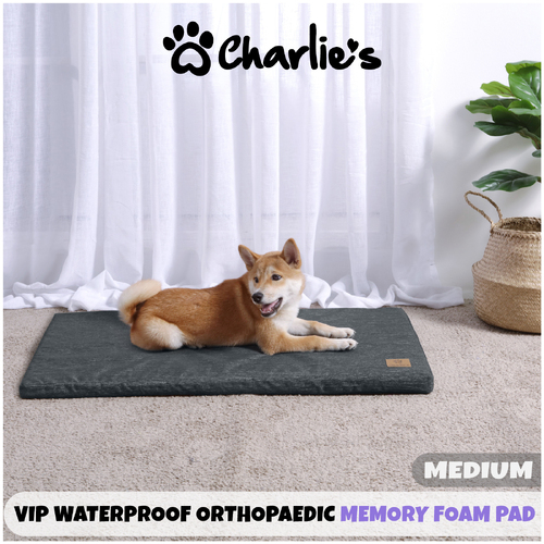 Charlie's Pet VIP Waterproof Orthopaedic Memory Foam Pad - Charcoal - Medium