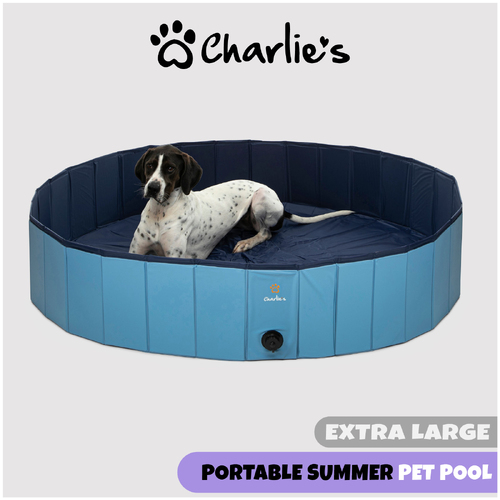Charlie's Pet Portable Summer Pet Pool - Blue - Extra Large